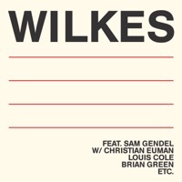 Thumbnail for the Sam Wilkes - Wilkes link, provided by host site