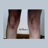 Thumbnail for the Sloppy Jane - Willow link, provided by host site