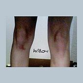 Thumbnail for the Sloppy Jane - Willow link, provided by host site