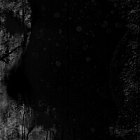 Thumbnail for the Reflections - Willow Instrumental link, provided by host site