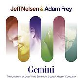 Thumbnail for the Adam Frey - Willson Suite: II. in a Gentle Rain link, provided by host site