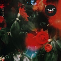 Thumbnail for the Violet - Wilt link, provided by host site