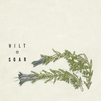 Thumbnail for the Soar - Wilt link, provided by host site