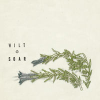 Thumbnail for the Soar - Wilt link, provided by host site