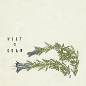 Thumbnail for the Soar - Wilt link, provided by host site