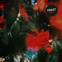 Thumbnail for the Violet - Wilt link, provided by host site