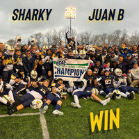 Thumbnail for the Sharky - WIN link, provided by host site