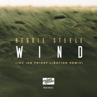 Thumbnail for the Reggie Steele - Wind link, provided by host site
