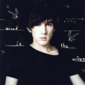 Thumbnail for the Patrick Wolf - Wind in the Wires link, provided by host site