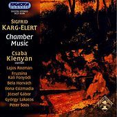 Thumbnail for the Csaba Klenyán - Wind Quintet in C Minor, Op. 30: II. Interludium link, provided by host site