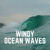 Thumbnail for the Ocean Waves - Windy Ocean Waves link, provided by host site