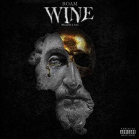 Thumbnail for the ROAM - Wine link, provided by host site
