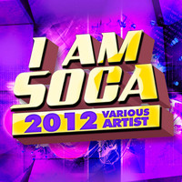 Thumbnail for the Kevin Lyttle - Wine & Go Down link, provided by host site