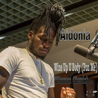 Thumbnail for the Aidonia - Wine up U Body (Pon Me) [Wikaman Remix] link, provided by host site