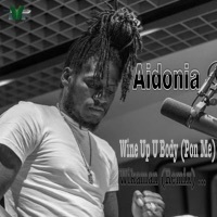 Thumbnail for the Aidonia - Wine up U Body (Pon Me) [Wikaman Remix] link, provided by host site