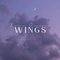 Thumbnail for the Kevin Jansson - WiNGS link, provided by host site