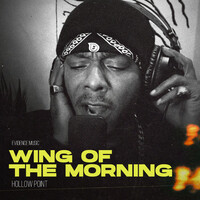 Thumbnail for the Hollow Point - Wings Of The Morning link, provided by host site