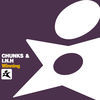 Thumbnail for the Chunks - Winning link, provided by host site