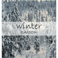 Image of Saison linking to their artist page due to link from them being at the top of the main table on this page