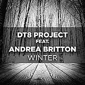 Thumbnail for the DT8 Project - Winter link, provided by host site