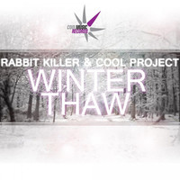 Thumbnail for the Cool Project - Winter Thaw link, provided by host site