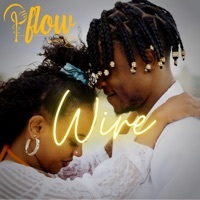 Thumbnail for the P-Flow - Wire link, provided by host site