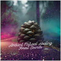 Thumbnail for the Natural Forest Sounds - Wisdom Forest's link, provided by host site