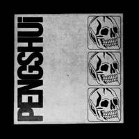 Thumbnail for the PENGSHUi - Wiseman link, provided by host site