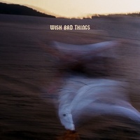 Thumbnail for the WHO SHOT SCOTT - WISH BAD THINGS link, provided by host site