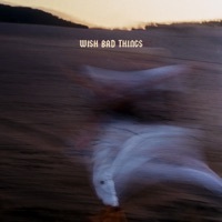 Thumbnail for the WHO SHOT SCOTT - WISH BAD THINGS link, provided by host site