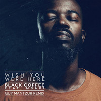 Thumbnail for the Black Coffee - Wish You Were Here (Guy Mantzur Remix) link, provided by host site