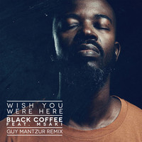 Thumbnail for the Black Coffee - Wish You Were Here [Guy Mantzur Remix] link, provided by host site