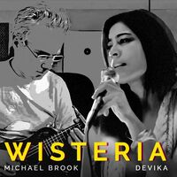 Thumbnail for the Michael Brook - Wisteria link, provided by host site