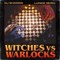 Thumbnail for the DJ Shadow - Witches Vs. Warlocks (Lunice Remix) link, provided by host site
