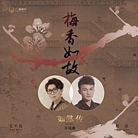 Thumbnail for the Mao Buyi - 梅香如故(電視劇《如懿傳》片尾曲) [with 周深] link, provided by host site