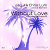 Thumbnail for the Jay-J & Chris Lum - Without Love (Remixes) link, provided by host site