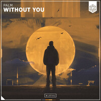 Thumbnail for the Palm - Without You link, provided by host site
