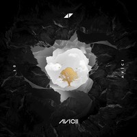 Thumbnail for the Avicii - Without You link, provided by host site