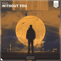 Thumbnail for the Palm - Without You link, provided by host site