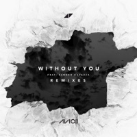 Thumbnail for the Avicii - Without You [Remixes] link, provided by host site