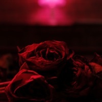 Thumbnail for the The Paper Kites - Without Your Love link, provided by host site