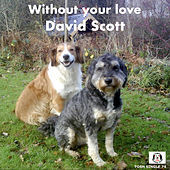 Thumbnail for the David Scott - Without Your Love link, provided by host site