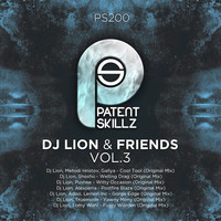 Thumbnail for the DJ Lion - Witty Occasion - Original Mix link, provided by host site