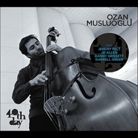 Thumbnail for the Ozan Musluoğlu - Wizard Lizard link, provided by host site
