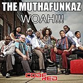 Thumbnail for the The MuthaFunkaz - Woah!!! link, provided by host site