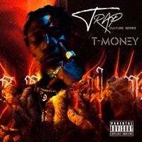 Thumbnail for the Young Stoner Life - WokStar [Mixed] link, provided by host site