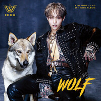Thumbnail for the WooSung - WOLF link, provided by host site