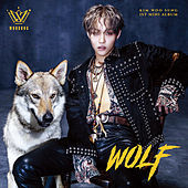 Thumbnail for the WooSung - Wolf link, provided by host site