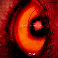Thumbnail for the Iota - Wolf Number 9 link, provided by host site
