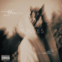 Thumbnail for the Missio - Wolves link, provided by host site